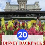 Are you organizing a Walt Disney World vacation? Don’t forget to focus on what to pack! Read on for what’s in my Disney Day bag. Pack these items before you head to Walt Disney World to ensure you have a magical day. Check out these Disney packing tips. #Disneybackpack #Disneypackingtips #Disneyworld