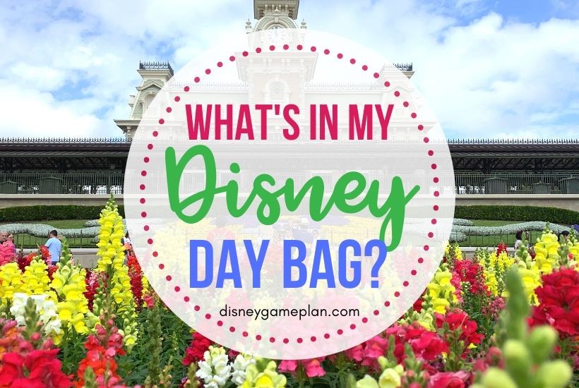 What’s in My Disney Day Bag