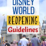 Disney officially submitted a proposal for a phased reopening of Walt Disney World. Here's the news on Disney's plans for reopening Disney parks in phases.